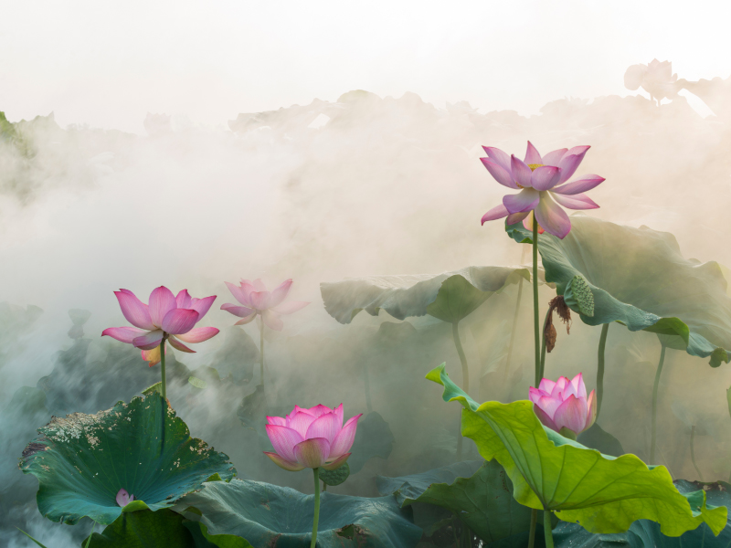 【活動公告】大慈山萬緣寺——舍利展暨全國大朝山・台灣三十三觀音巡禮