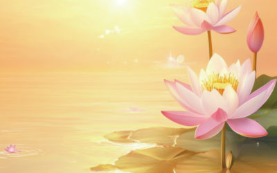 【活動公告】三十三觀音巡禮 in 日本東京